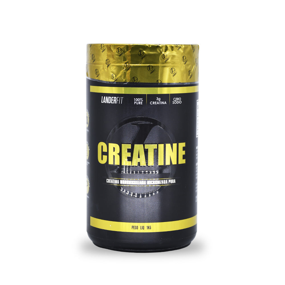 CREATINA LANDERFIT 1KG